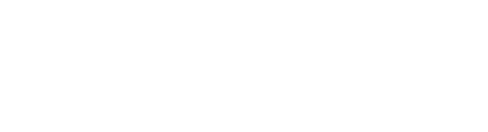 Guido Fluri Foundation logo