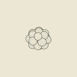 Cloudberry Ventures