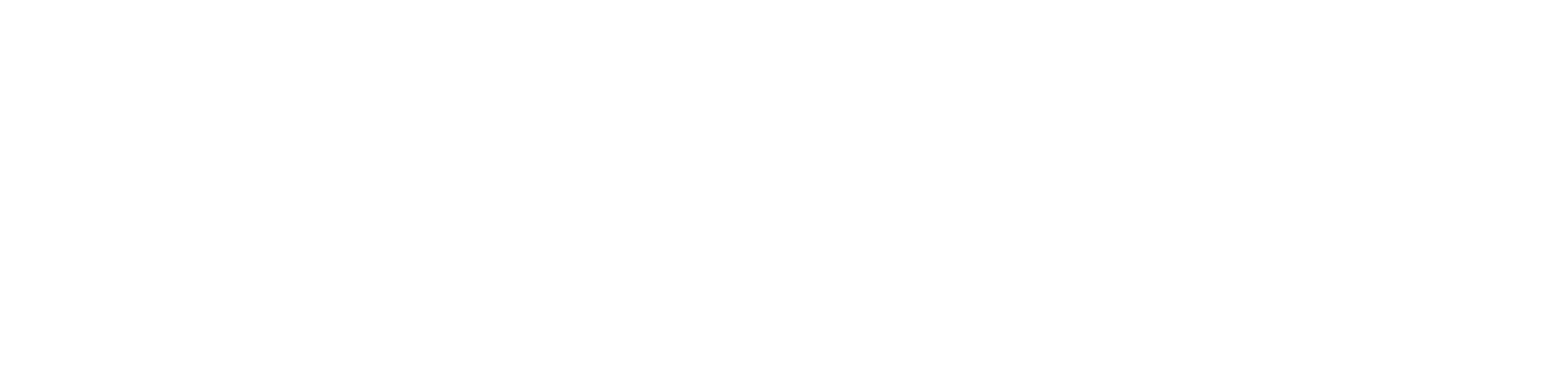 Neurosoft Bioelectronics logo