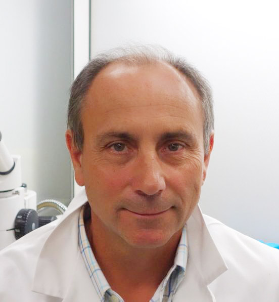 Luc Stoppini