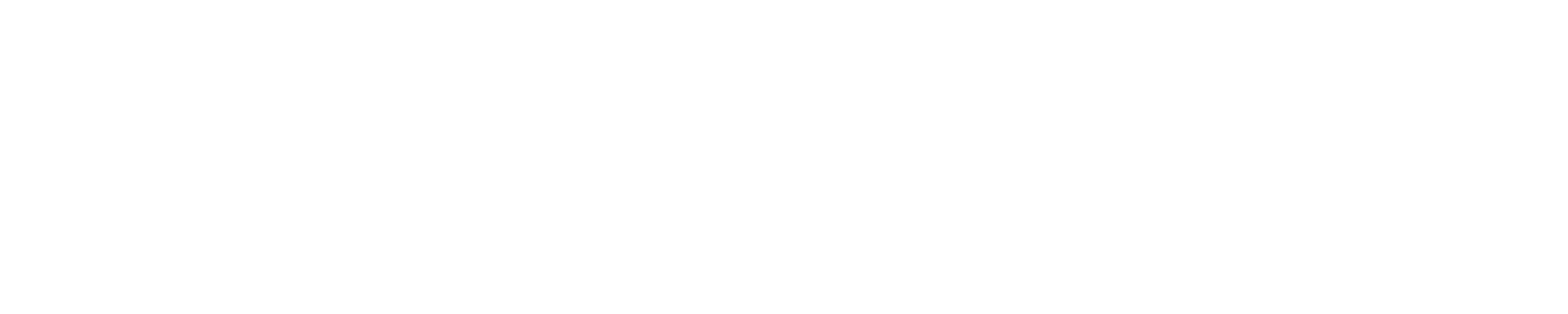 Pace Ventures